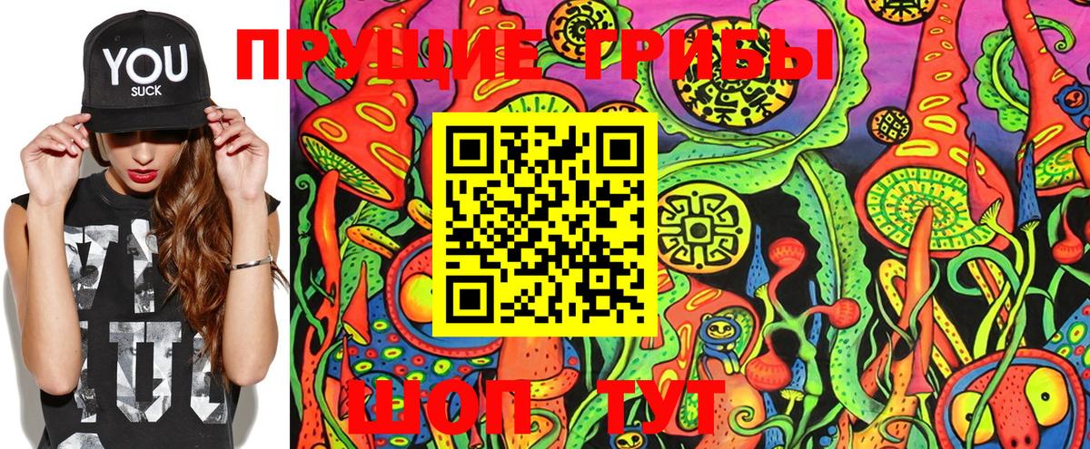 Псилоцибиновые грибы Cubensis  Вход с VPN  Верхняя Пышма 
