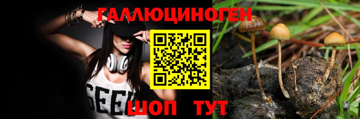 Галлюциногенные грибы GOLDEN TEACHER Верхняя Пышма