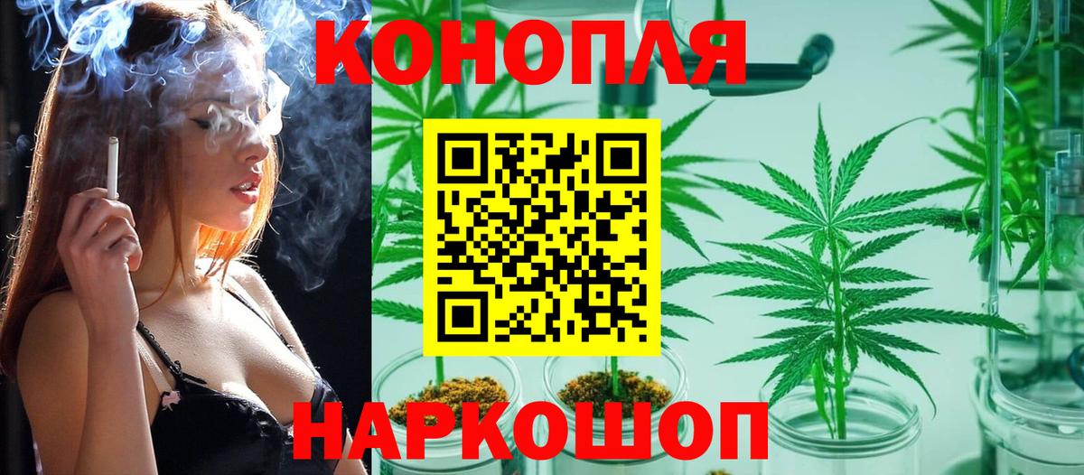 Бошки марихуана SATIVA & INDICA  Бошки марихуана план  Канабис тримм  Верхняя Пышма  Вход с VPN  Бошки Шишки VHQ 